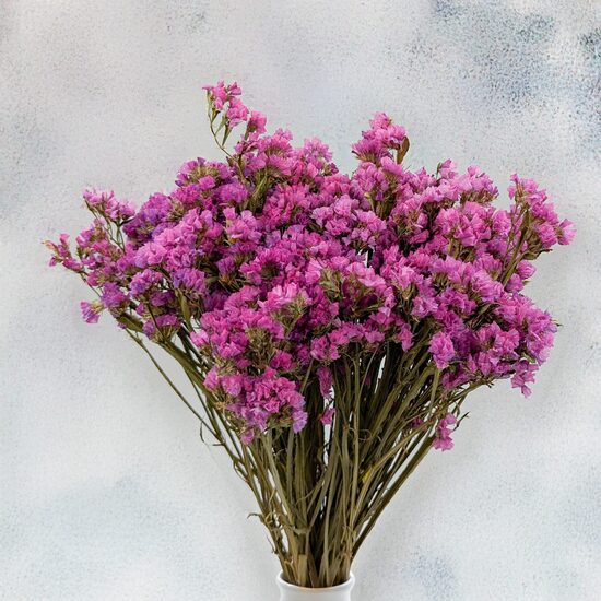 Limonija FOREVER ROSE 20 sēklas JAUNUMS