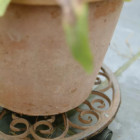 Čuguna auga ratiņi S izm